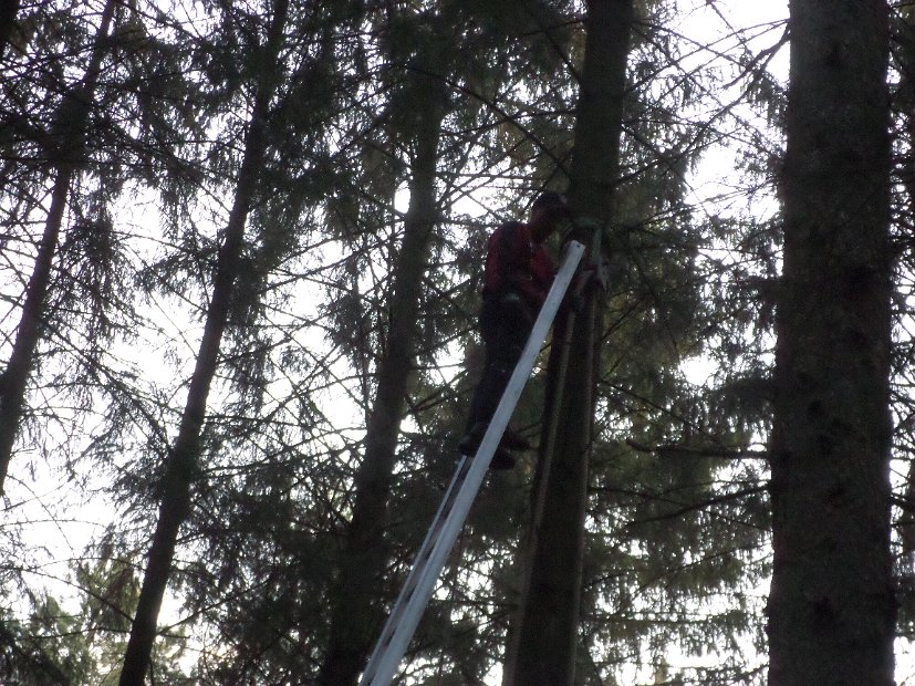 Maibaum_2016 (19)